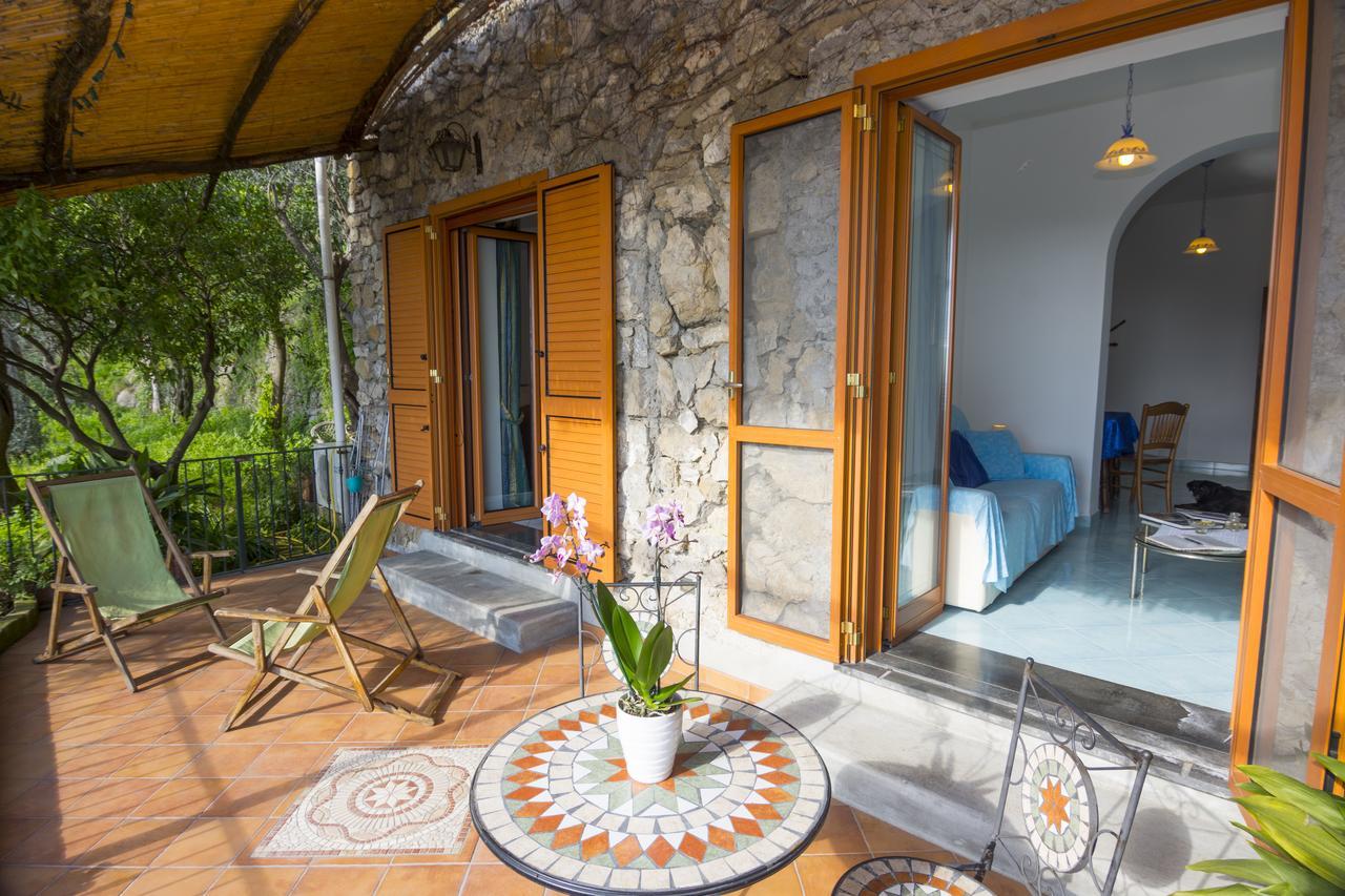 פוזיטנו Le Nereidi B&B מראה חיצוני תמונה